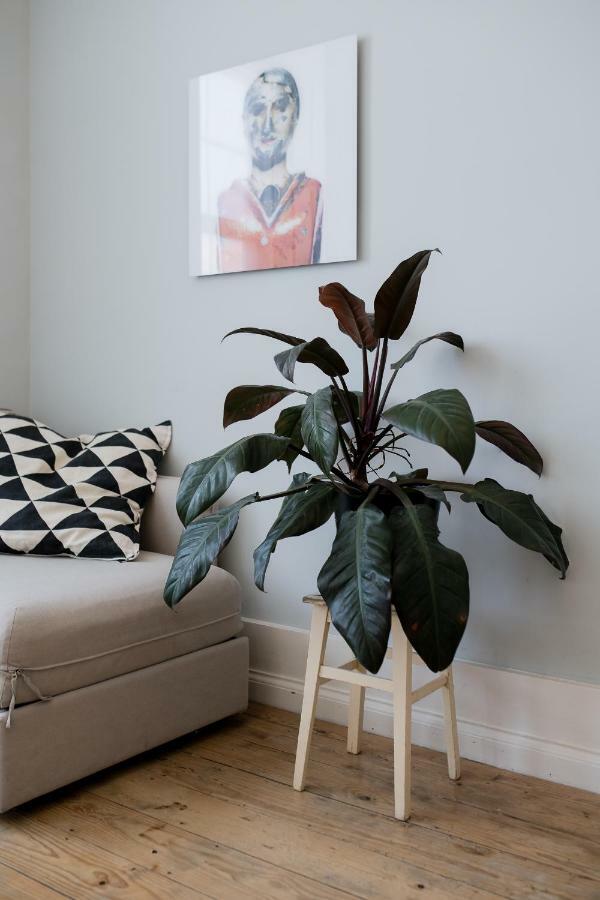 Baixa24 •P2R• Bright Apt In Vibrant Downtown 포르투 외부 사진